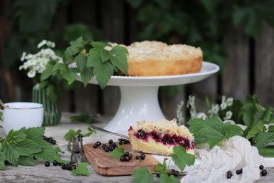 Johannisbeerkuchen mit Topfen und Streusel