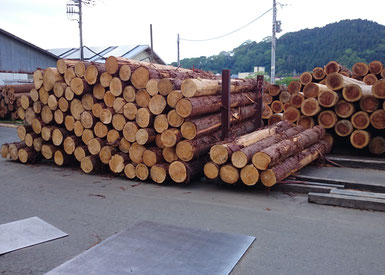 木の家で地球温暖化対策