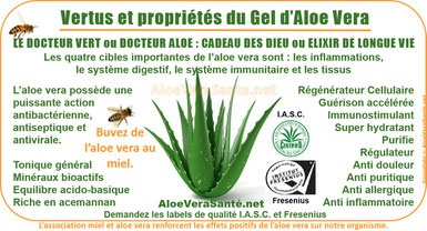 Vertus et propriétés du gel d'aloe vera  AloeVeraSante.net 