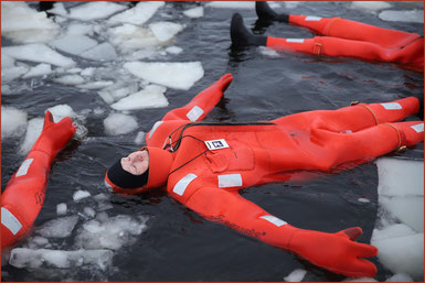 ihr Cameo-Auftritt, Schwimmen im Polar-Eis