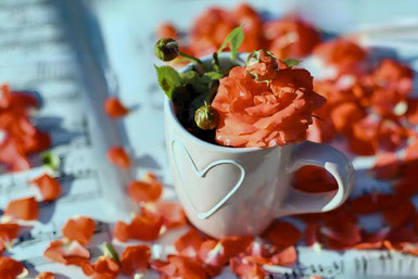 バラの花びらが散らばった楽譜。バラの花がマグカップに生けられている。