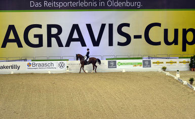 AGRAVIS-CUP Pferdesport Event, FOTO: MiO Made in Oldenburg®, miofoto.de