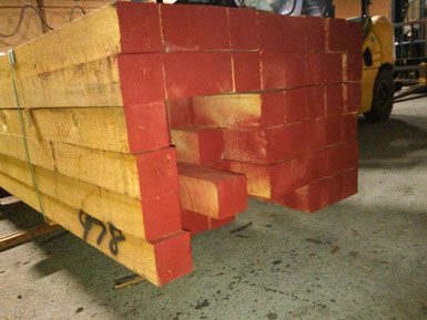 ベイヒバの土台