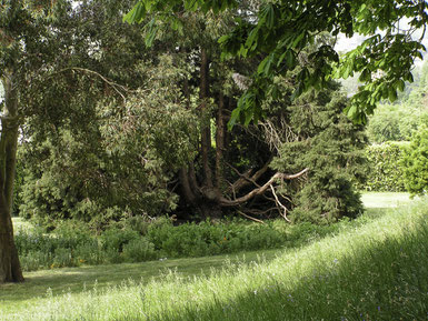 Bild: Jardin des Plantes in Avranches, Normandie 