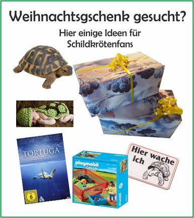 Geschenkideen für Schildkröten Halter