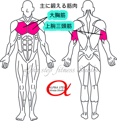 チェストプレス（大胸筋・上腕三頭筋）