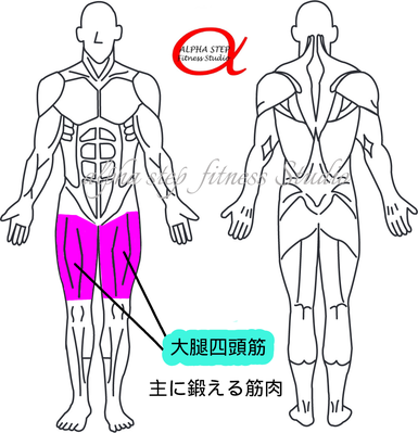 レッグエクステンション（大腿四頭筋）