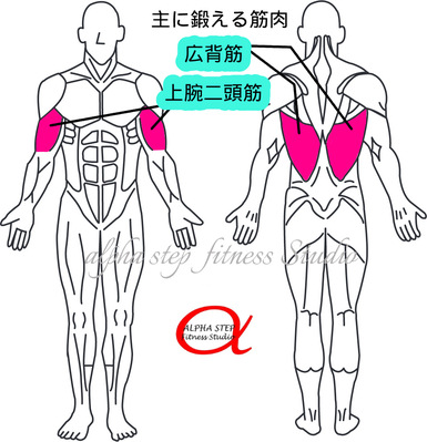 ラットプルダウン（広背筋・上腕二頭筋）