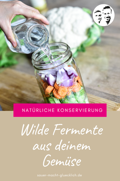 Wilde Fermente