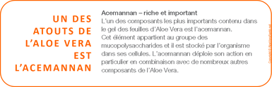 L'acemannan renforce l'immunité en constituant une sorte de bouclier et stimule la régénération cellulaire et le métabolisme