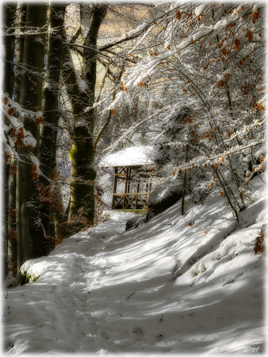 Nach dem Regen kam der Schnee