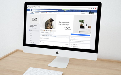 créer et animer une page professionnelle facebook