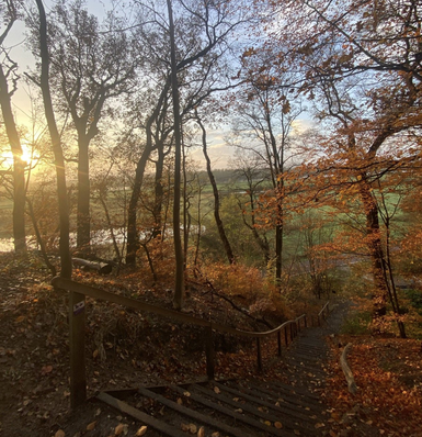 Trailrunning. Samen trails lopen Utrechtse Heuvelrug Veluwe. Social trail run. Trailrun. Trailrun reizen. Hardloopcoaching. Beekdaltrail. Trail-running