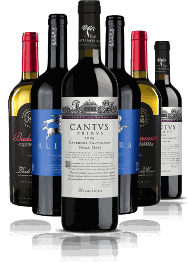 6-er Weinpaket bis 75 Euro |  Geschnek-Tipp für Weinkenner, Gourmets und für Sie persönlich!