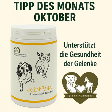 Reico Joint Vital - Unser Tipp des Monats. 