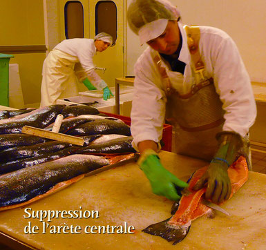 pays d’Orthe, Peyrehorade, Landes, Aquitaine, Barthouil, saumon, fumage, alose, caviar, aulne, pêche, adour, gave