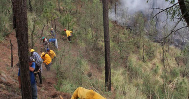 Atiende SDS 4 incendios durante este fin de semana