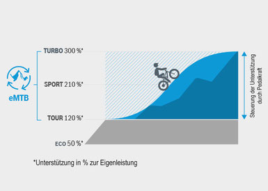 Der neue e-MTB Modus wechselt automatisch zwischen Tour und Turbo Modus.