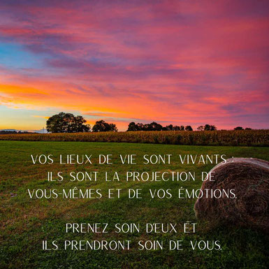 Comment se passe une intervention en geobiologie?   jb bonhert - geobiologie en touraine - via energetica annuaire des therapeutes