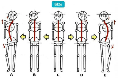 噛み締めによる肩、骨盤の歪み