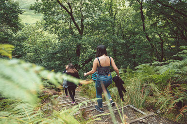 Frauen-Wildnis-Wochenende: gemeinsam unterwegs im Wald