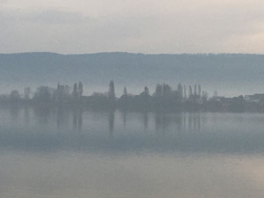 Christoph Steinbach - Gnadensee Reichenau, Foto 01.2018