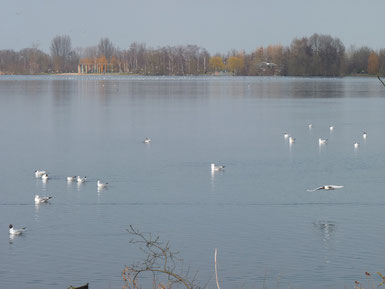 Der Lago Laprello