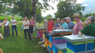 Rege Teilnahme beim Imkerstammtisch am Bienenstand von Sepp Lindner