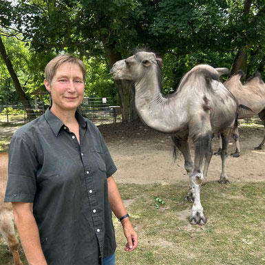Diana Enigk kümmert sich im Herzberger Tierpark um die Trampeltiere