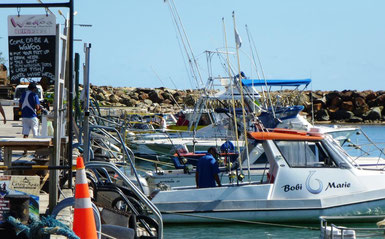 Rarotonga Port