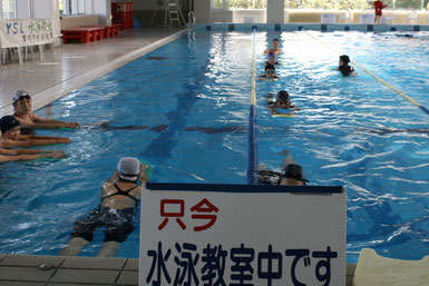 初級者水泳教室