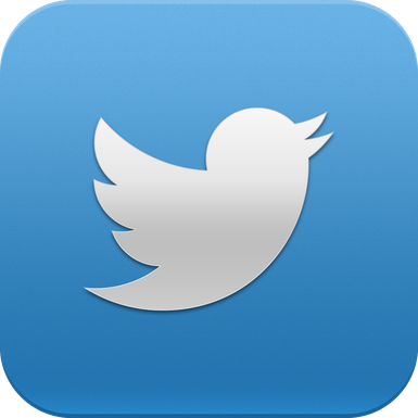 Twitter Marketing, Mit Twitter Geld verdienen, Mit Social Media Geld verdienen, Twitter mehr Follower, Twitter Logo,