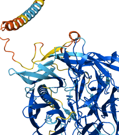 Q8I3H7 protéine par IA - Peut protéger le parasite du paludisme contre l'attaque du système immunitaire