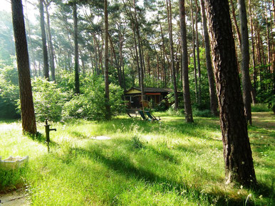 Blick vom Tor auf das Ferienhaus Wolfi