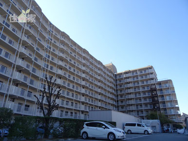 東大阪サンハイツ,稲田新町,徳庵,東大阪,中古マンション,スーモ,ホームズ,suumo,homes,リノベーション,リフォーム,住家,すみか,sumika