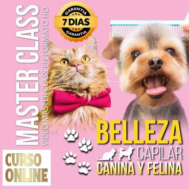 Aprende Online Belleza Capilar Felina y Canina, cursos de oficios online,