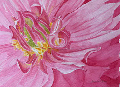 #dahlia#pink#watercolour#watercolor#gloriamoutartisit#painting#original