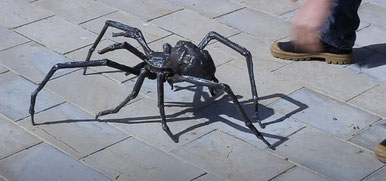 sculpture d'araignée Vanorbeek