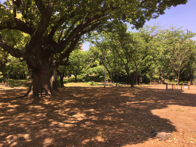 住吉公園