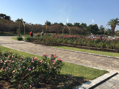 浜寺公園