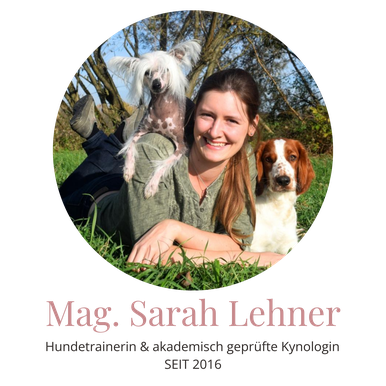 Tiertraining, Hundetraining, Verhaltenstraining, Animal Train, Sarah Lehner, Franz Unterberger