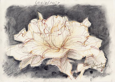 Zeichenkurs, Grafisches Zeichnen, Fortgeschrittene und Kunstausbildung 