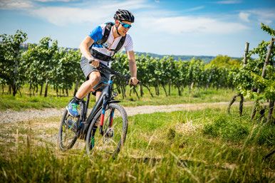 Unsere Experten in Nürnberg West helfen Ihnen gern dabei, mehr über die Technik von Trekking e-Bikes zu erfahren.