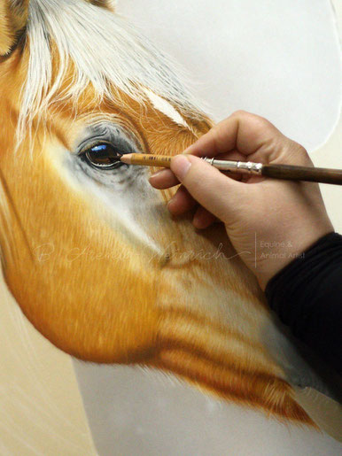 Pastellportrait vom Foto Haflinger Pferd