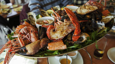 Lobster Online Bestellen