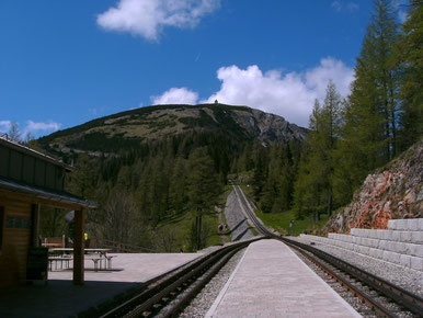 Dogtrekking Dogtrekking Dogtrekking Dogtrekking Elbsandstein-Dogtrekking ESDT Harz-Dogtrekking