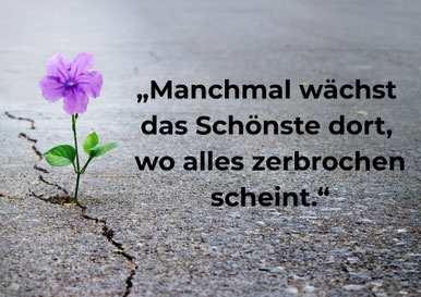 Ressourcenorientiertes Coaching | Peter Fähndrich | Waltenschwil