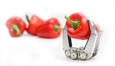 Collaboration between Engineering and Natural Sciences as Illustrated by a robotic hand holding a bellpepper