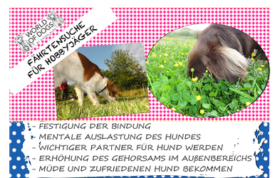 Hundeschule, Butzbach, Hund, Training, Fährten, Fährtensuche , Fun-Dog, Hundetraining 