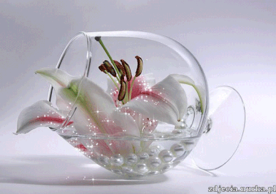 Https Encrypted Tbn0 Gstatic Com Images Q Tbn 3aand9gcrks0bcu44wzd3tzqvefamzms5kh7r199ls8w Usqp Cau